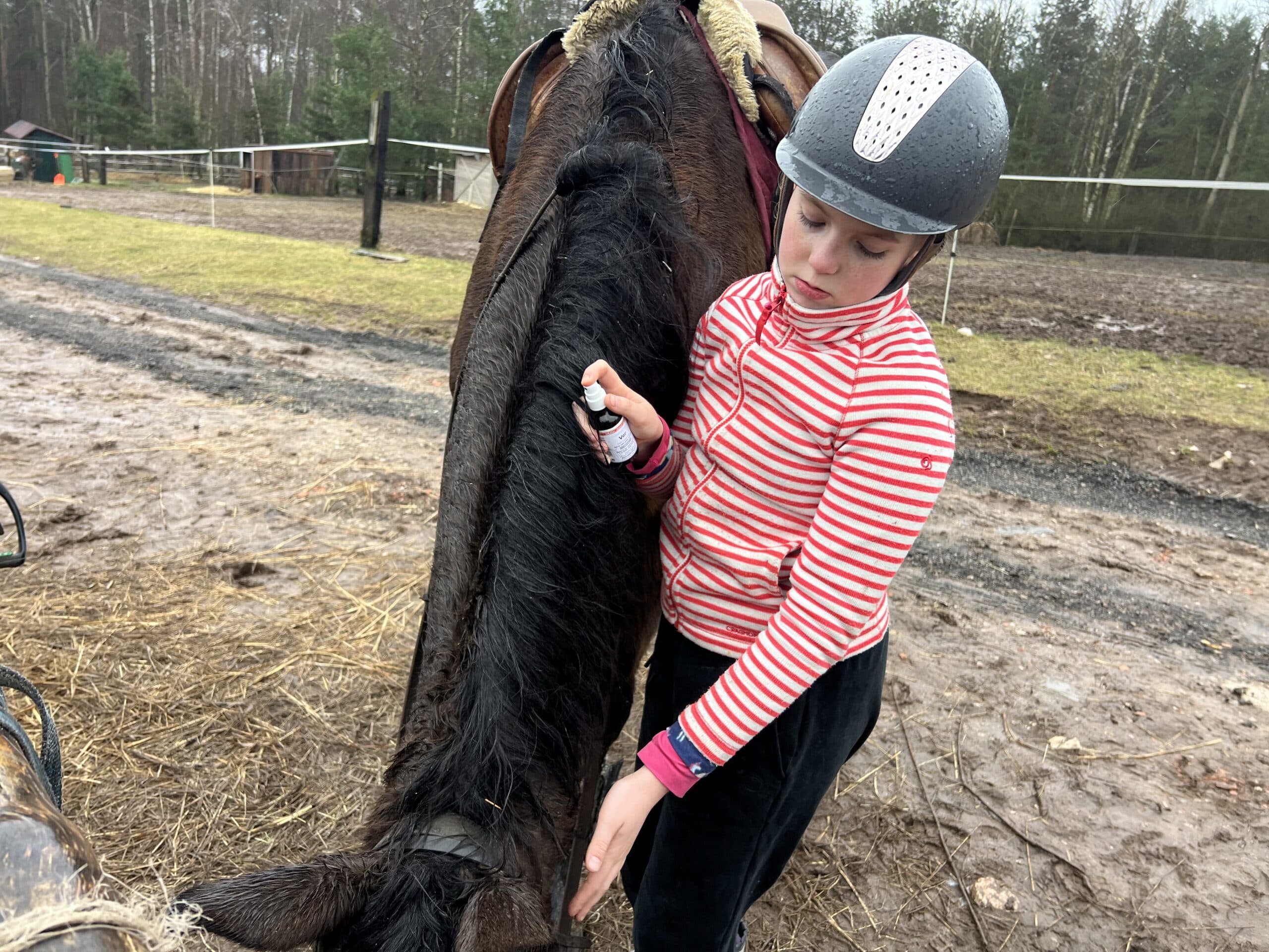 Animal care session