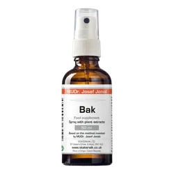 Bak