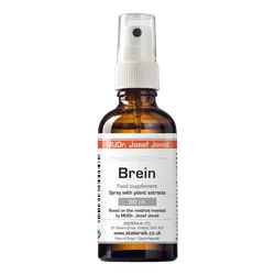 Brein