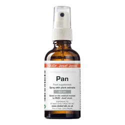 Pan